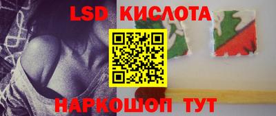стафф Краснознаменск
