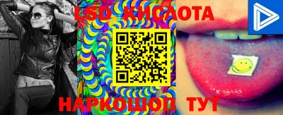 стафф Краснознаменск
