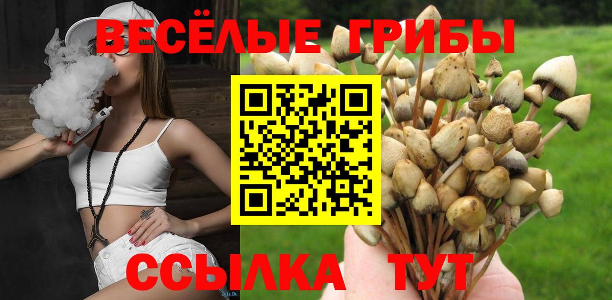 Галлюциногенные грибы Cubensis Шадринск