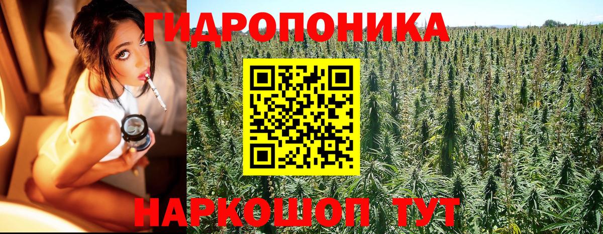 Бошки Шишки гибрид  Вход с VPN  Конопля марихуана  Шишки марихуана семена  Шадринск 
